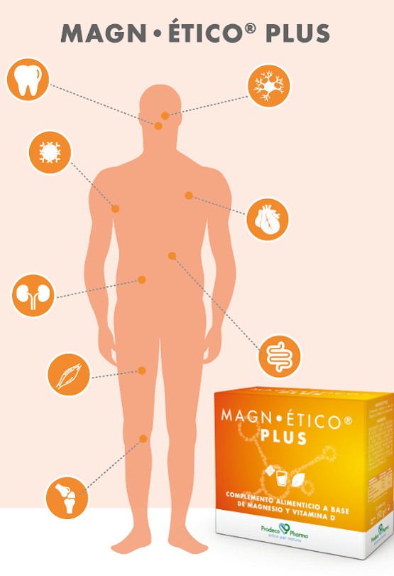 1 magnetico es
